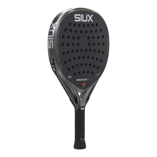 Siux Pegasus Pro 2026 Storm Gray