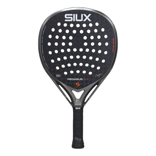 Siux Pegasus Pro 2026 Storm Gray